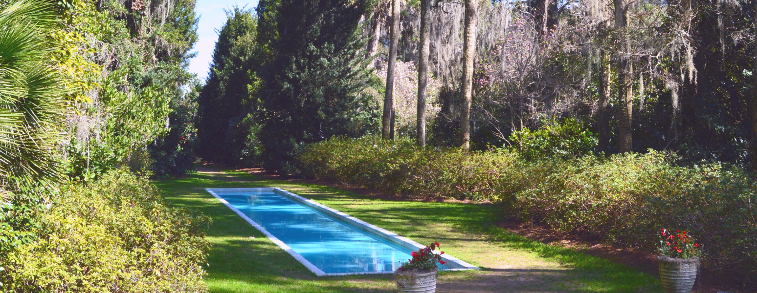 2022 Forget-Me-Not Walk